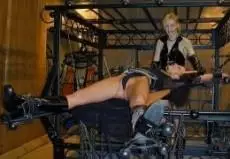 Free BDSM Porn